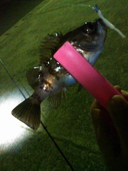 つかれたあとはの巻